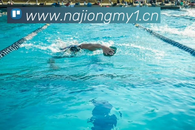 App Interface Preview