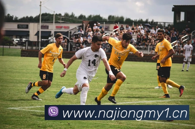 leyu乐鱼官方在线登录入口APP 封面图